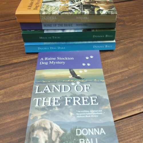 5 Books in Donna Ball series